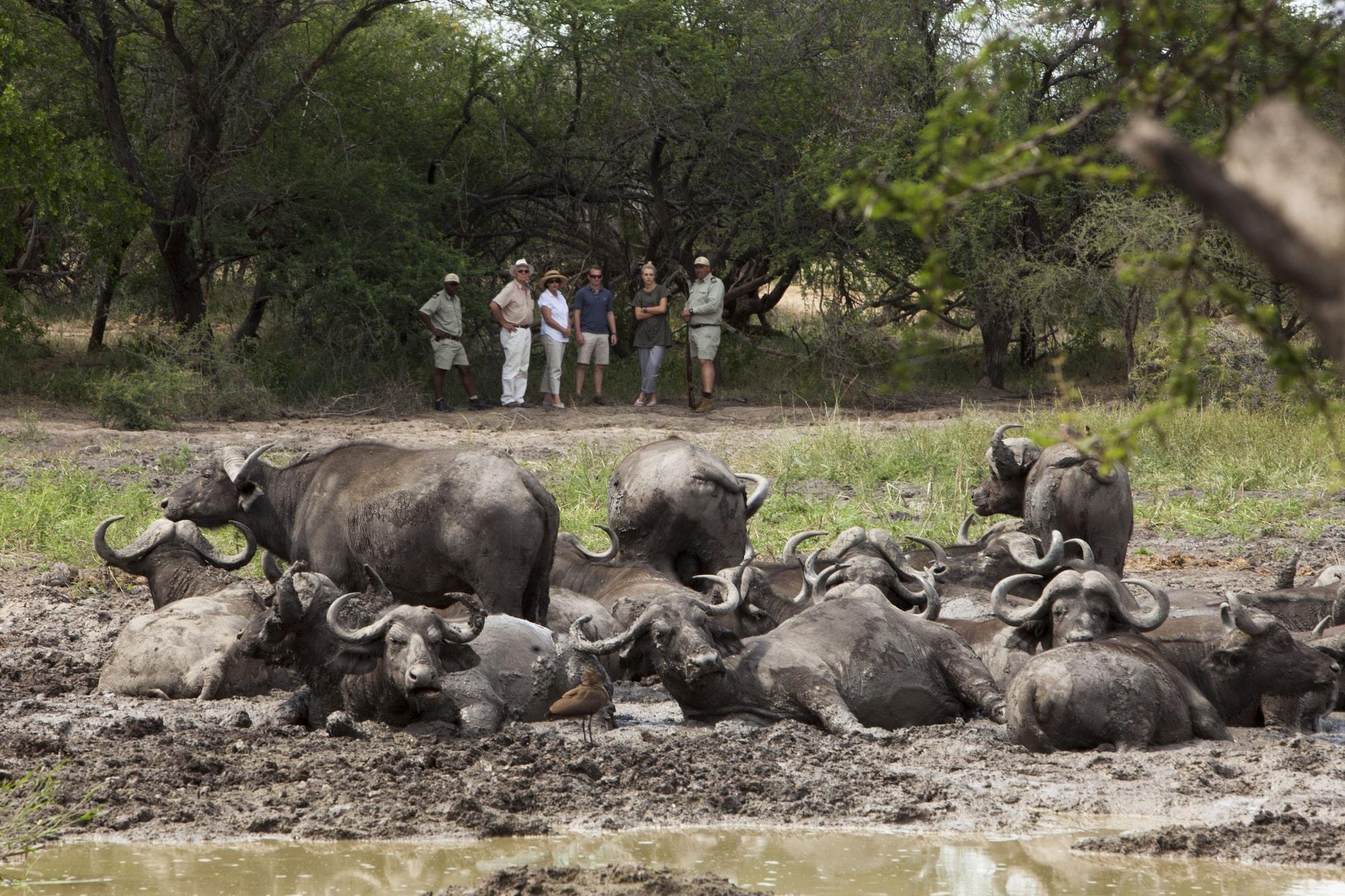 Kapama Southern Camp Hoedspruit Bagian luar foto
