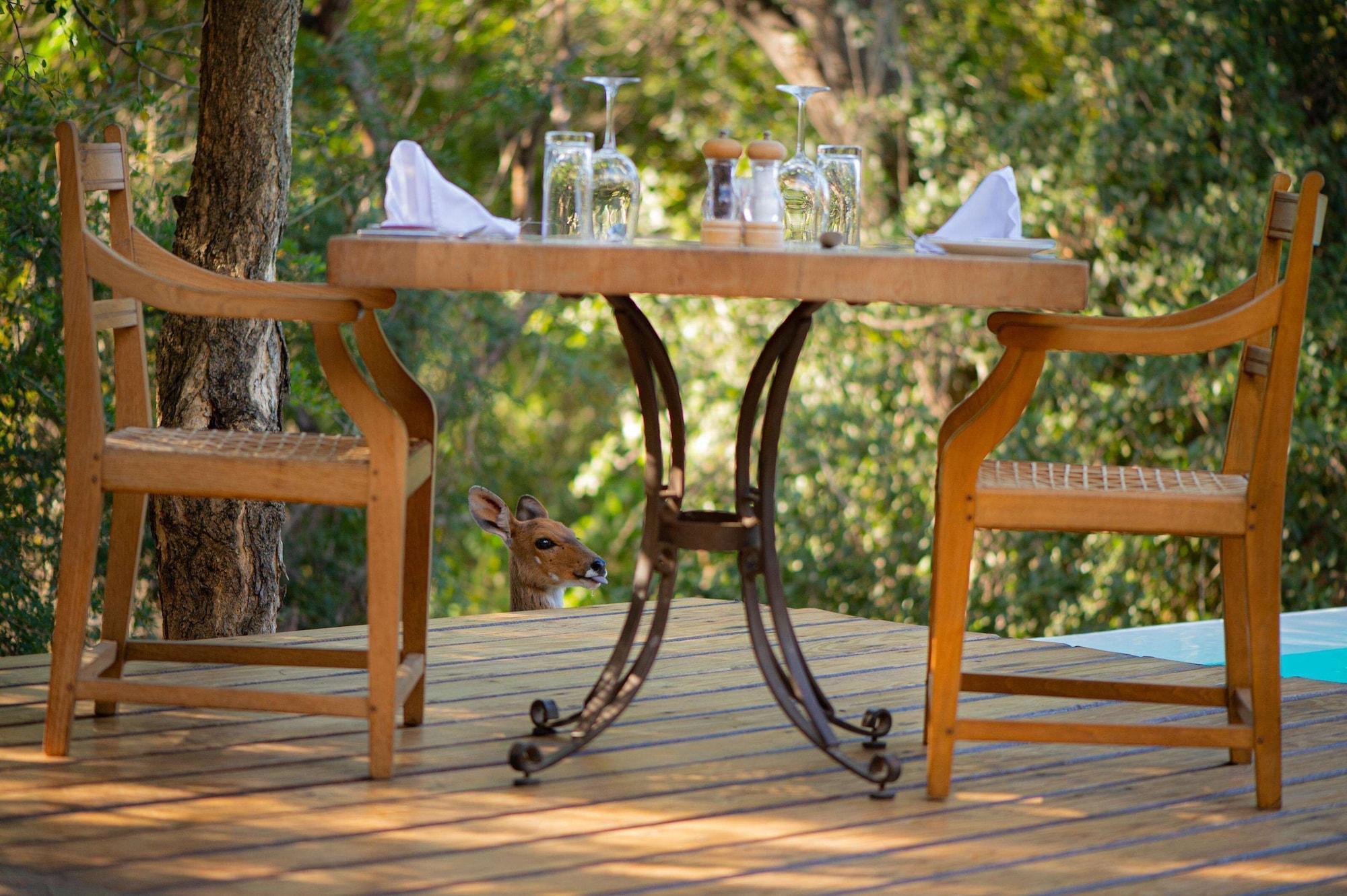Kapama Southern Camp Hoedspruit Bagian luar foto