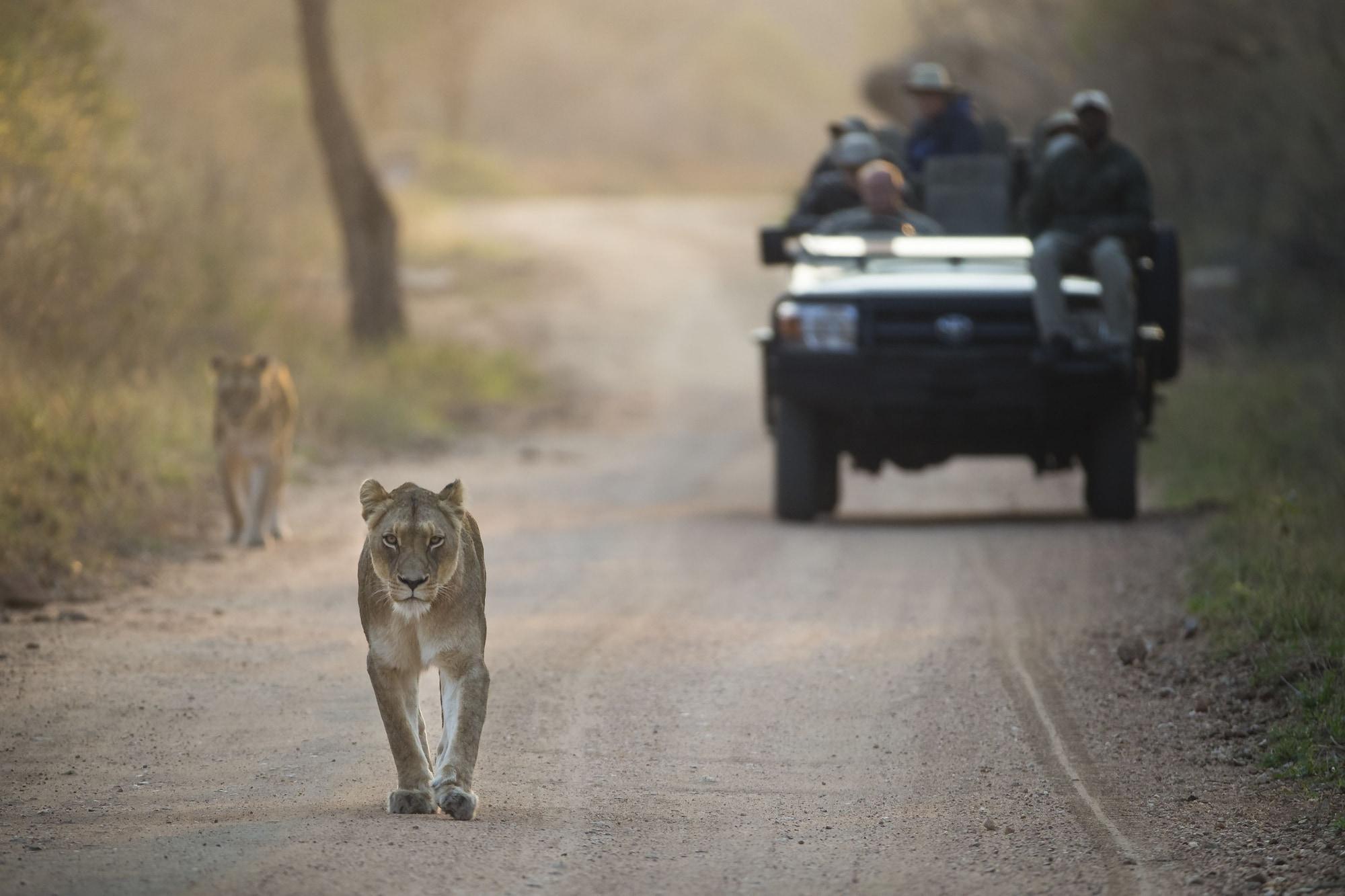 Kapama Southern Camp Hoedspruit Bagian luar foto