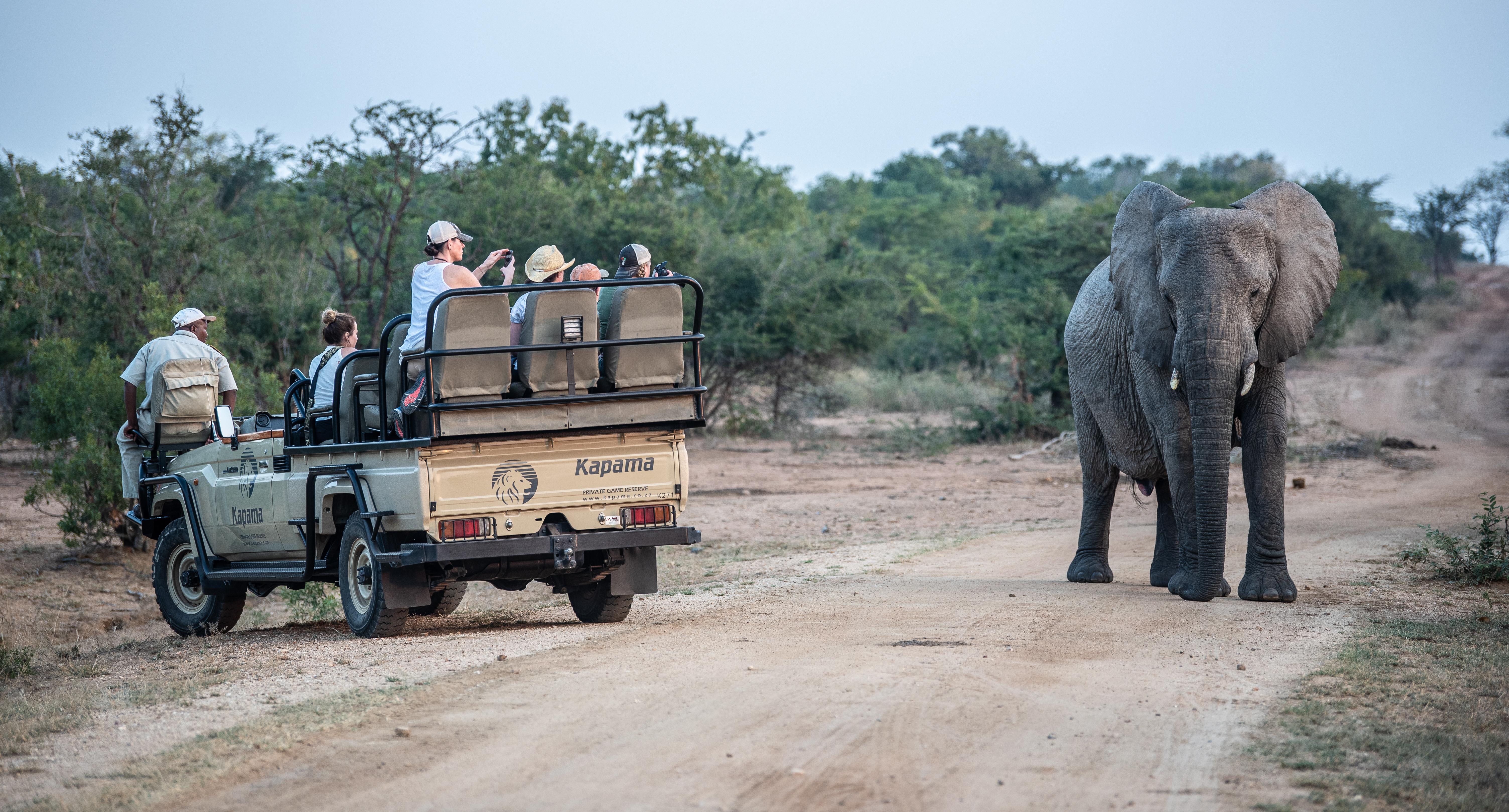 Kapama Southern Camp Hoedspruit Bagian luar foto
