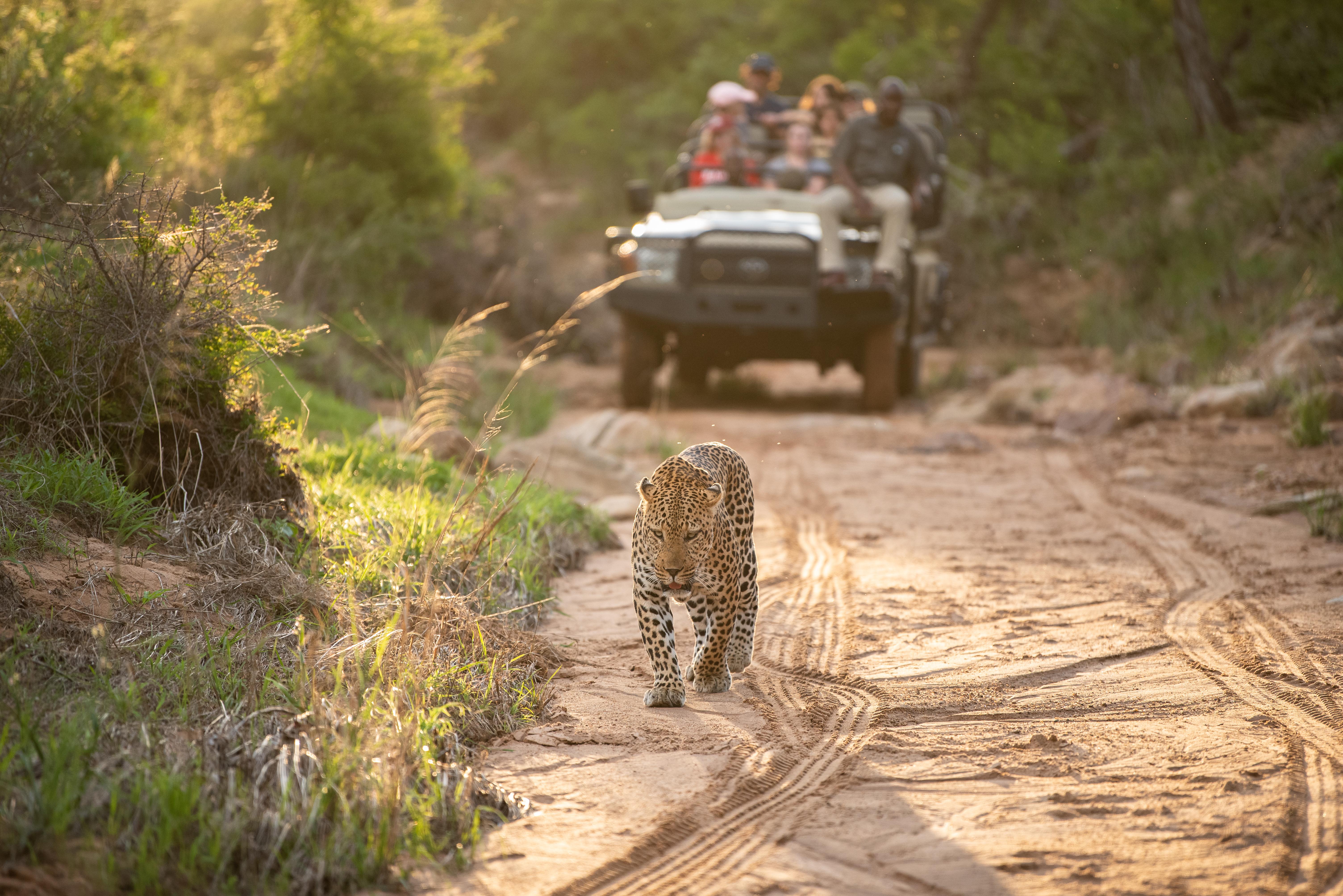 Kapama Southern Camp Hoedspruit Bagian luar foto